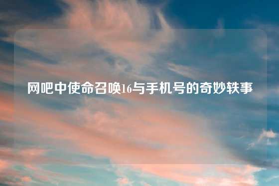 网吧中使命召唤16与手机号的奇妙轶事