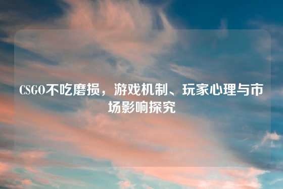 CSGO不吃磨损,游戏机制、玩家心理与市场影响探究