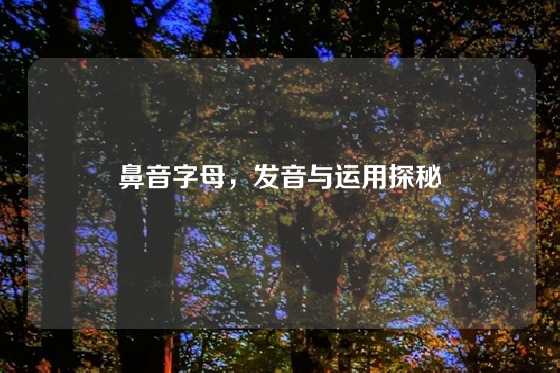 鼻音字母,发音与运用探秘
