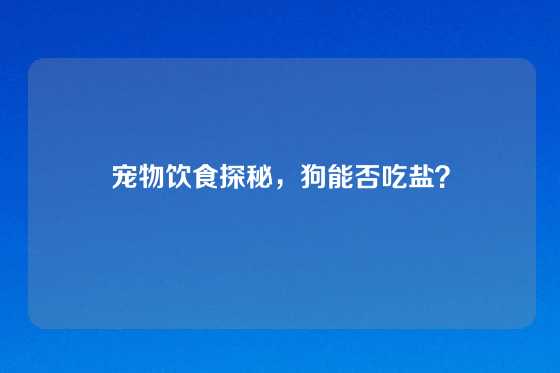 宠物饮食探秘，狗能否吃盐？