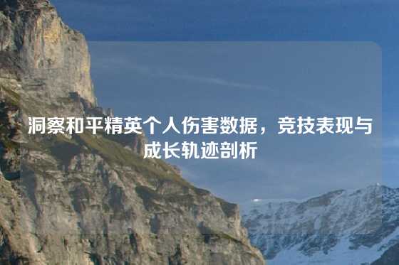 洞察和平精英个人伤害数据,竞技表现与成长轨迹剖析