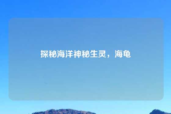 探秘海洋神秘生灵,海龟