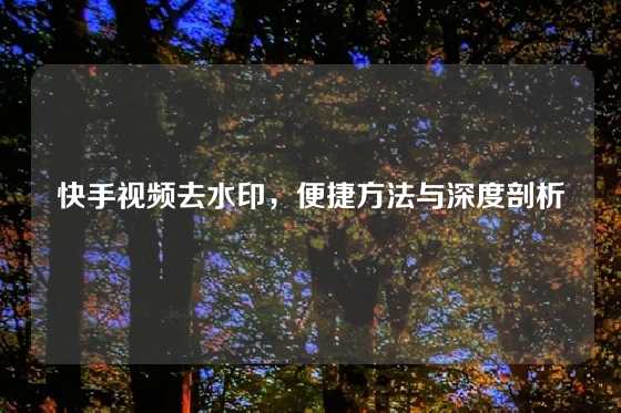 快手视频去水印,便捷方法与深度剖析