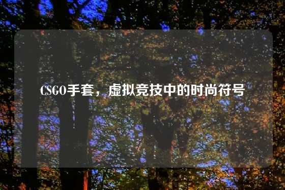 CSGO手套,虚拟竞技中的时尚符号
