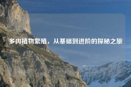 多肉植物繁殖,从基础到进阶的探秘之旅