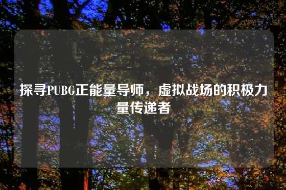 探寻PUBG正能量导师,虚拟战场的积极力量传递者