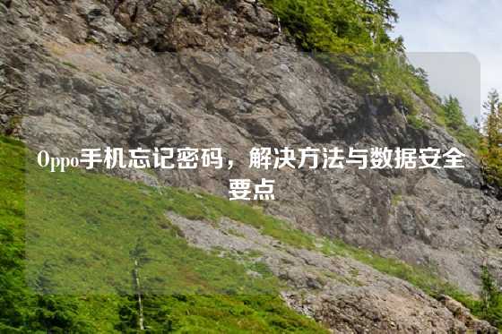 Oppo手机忘记密码,解决方法与数据安全要点