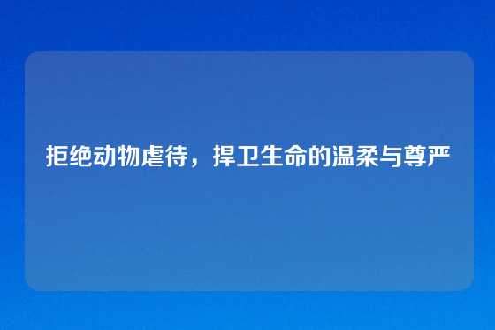 拒绝动物虐待,捍卫生命的温柔与尊严