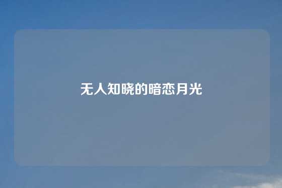 无人知晓的暗恋月光