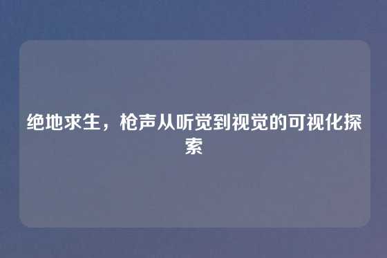 绝地求生，枪声从听觉到视觉的可视化探索