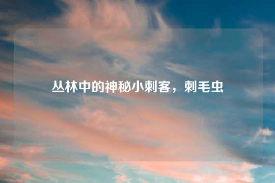 丛林中的神秘小刺客，刺毛虫