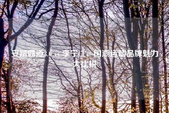 安踏霸道3.0 vs 李宁CF，国潮运动品牌魅力大比拼
