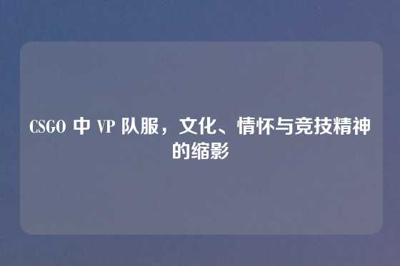 CSGO 中 VP 队服,文化、情怀与竞技精神的缩影