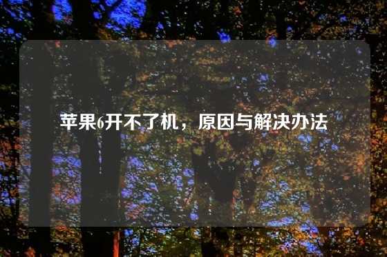苹果6开不了机,原因与解决办法