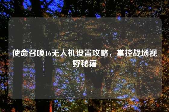 使命召唤16无人机设置攻略,掌控战场视野秘籍