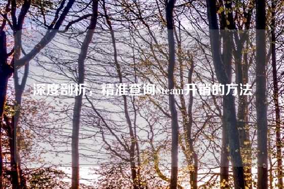 深度剖析,精准查询Steam开销的方法