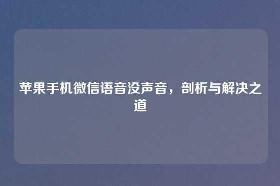 苹果手机微信语音没声音，剖析与解决之道