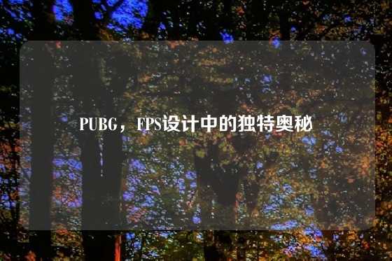 PUBG,FPS设计中的独特奥秘