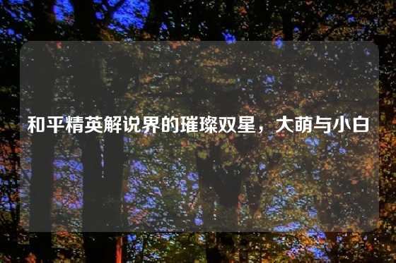 和平精英解说界的璀璨双星,大萌与小白