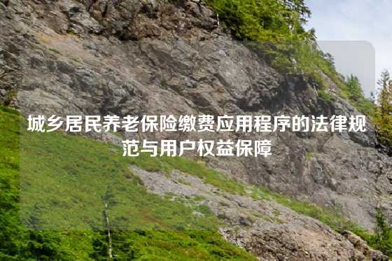 城乡居民养老保险缴费应用程序的法律规范与用户权益保障