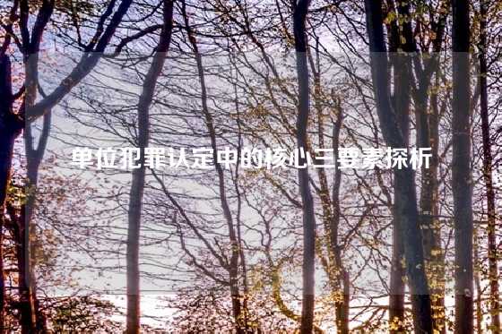 单位犯罪认定中的核心三要素探析