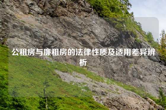 公租房与廉租房的法律性质及适用差异辨析