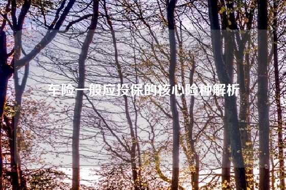 车险一般应投保的核心险种解析