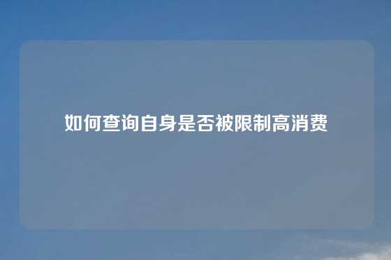 如何查询自身是否被限制高消费