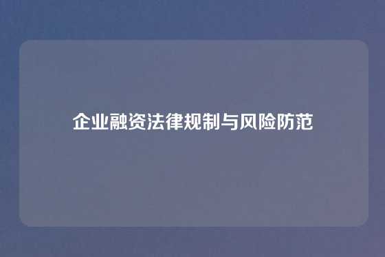 企业融资法律规制与风险防范