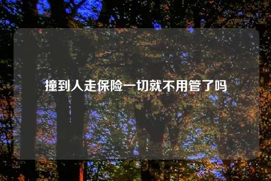 撞到人走保险一切就不用管了吗