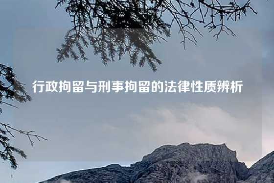 行政拘留与刑事拘留的法律性质辨析