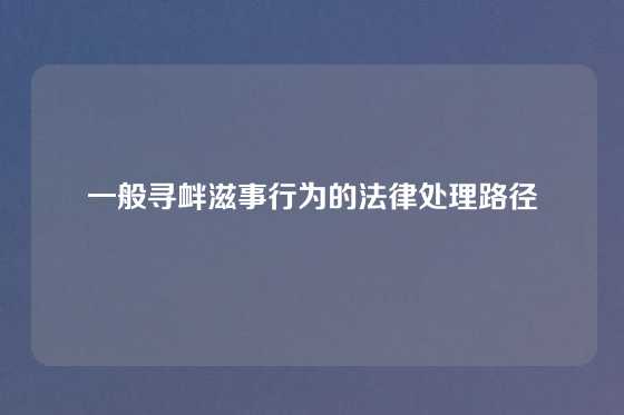 一般寻衅滋事行为的法律处理路径