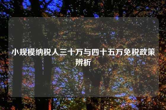 小规模纳税人三十万与四十五万免税政策辨析