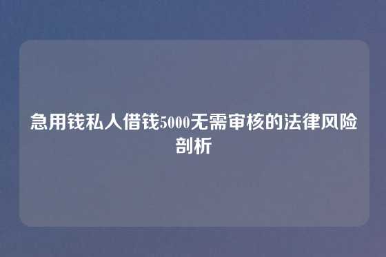 急用钱私人借钱5000无需审核的法律风险剖析