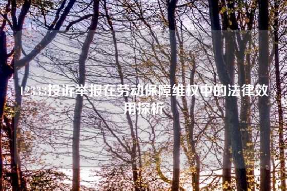 12333投诉举报在劳动保障维权中的法律效用探析
