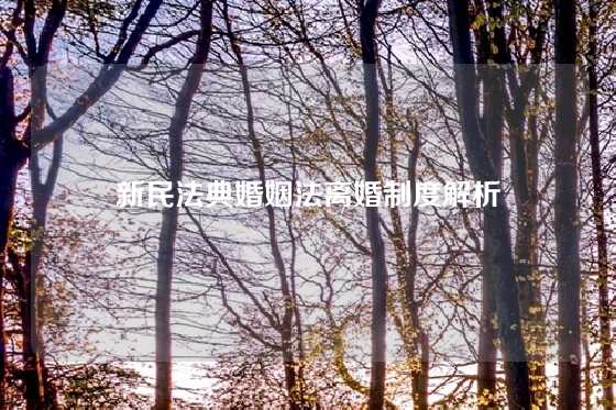 新民法典婚姻法离婚制度解析