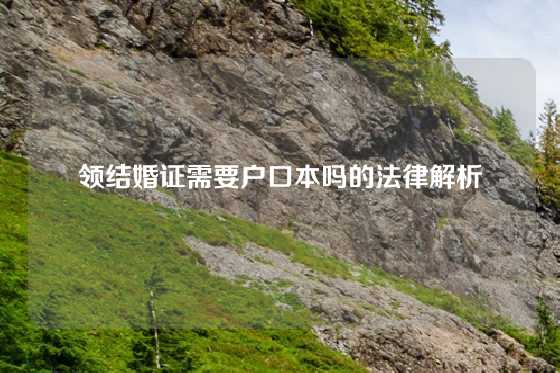 领结婚证需要户口本吗的法律解析