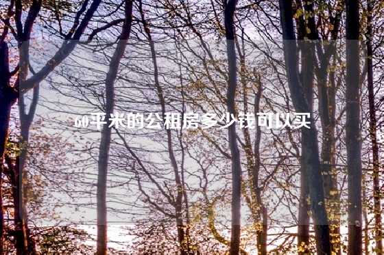 60平米的公租房多少钱可以买