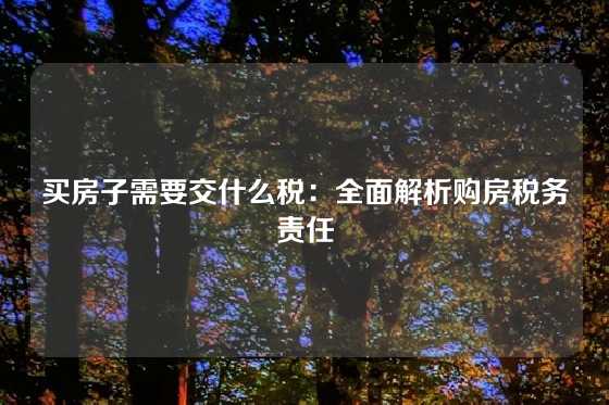 买房子需要交什么税：全面解析购房税务责任
