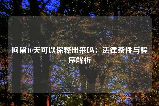 拘留10天可以保释出来吗：法律条件与程序解析