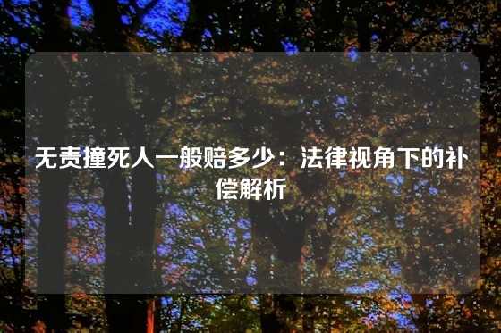 无责撞死人一般赔多少：法律视角下的补偿解析