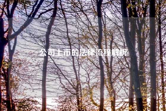 公司上市的法律流程解析