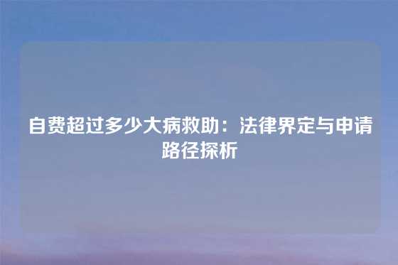 自费超过多少大病救助:法律界定与申请路径探析