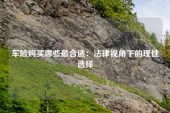 车险购买哪些最合适:法律视角下的理性选择