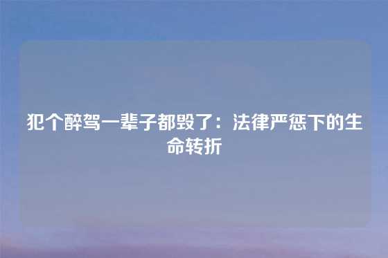 犯个醉驾一辈子都毁了：法律严惩下的生命转折