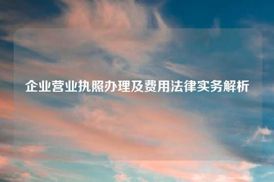企业营业执照办理及费用法律实务解析