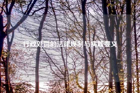 行政处罚的法律规制与实践要义