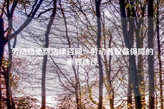 劳动局免费法律咨询：劳动者权益保障的重要途径