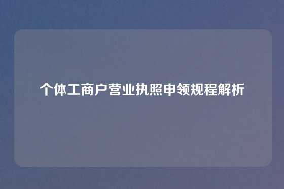 个体工商户营业执照申领规程解析