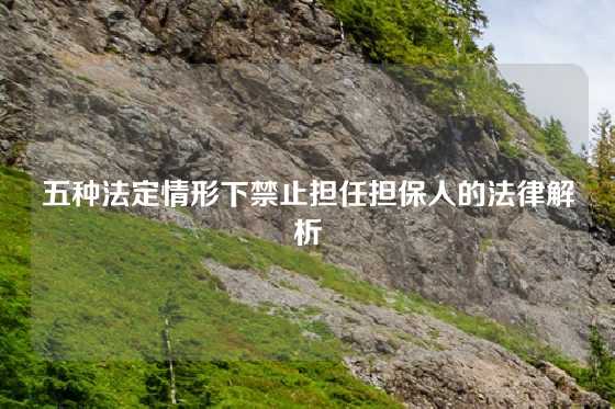 五种法定情形下禁止担任担保人的法律解析